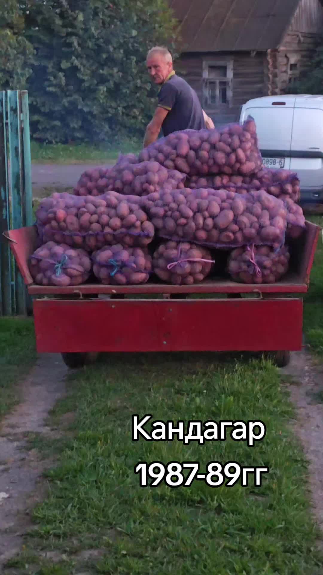 @Картофель Могилёв
