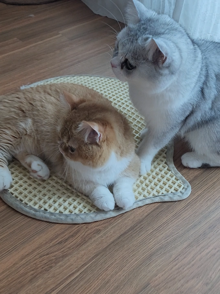 @박씨 거실