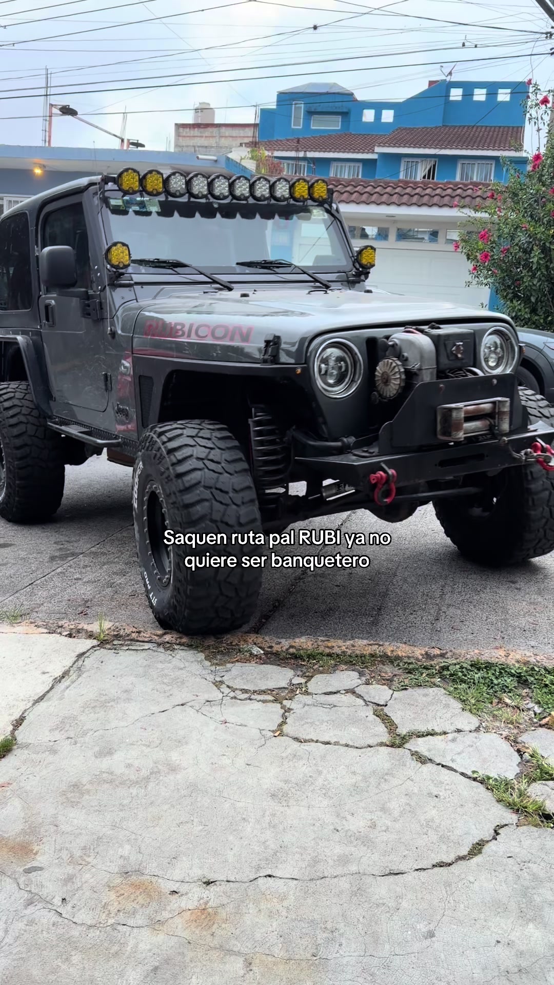@Oscar LM