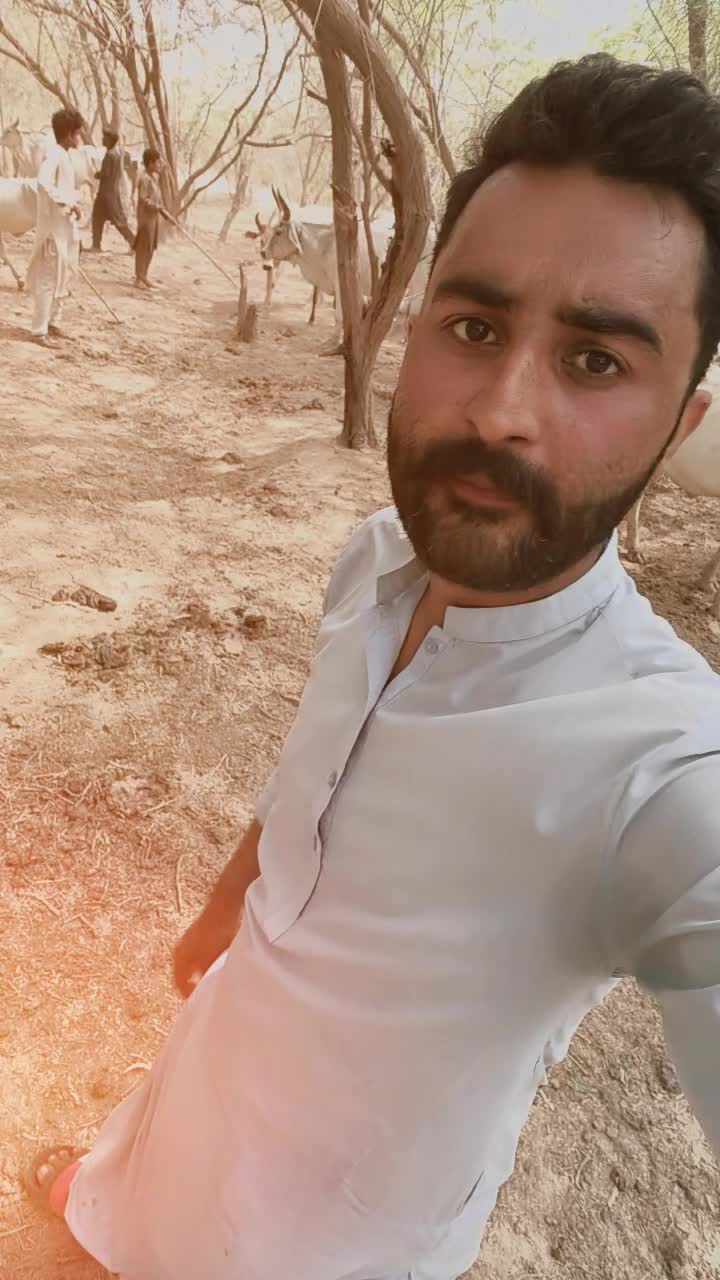 @VET Babar Mastoi14