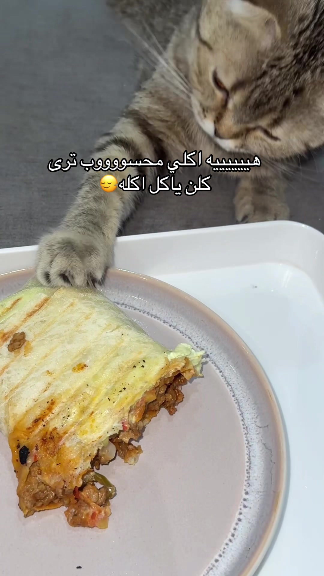@ابتهال الشمري