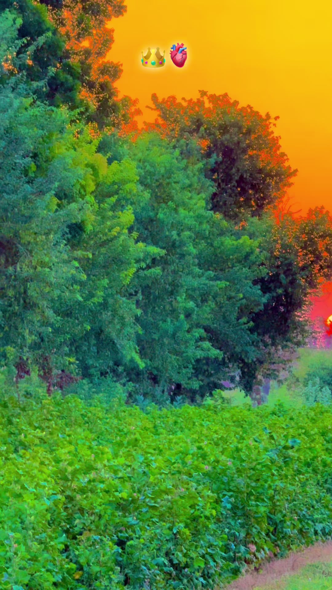 @پنجابی کلچر 🌾🍂