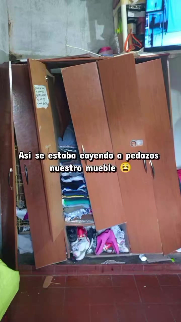 @ximena flor👽