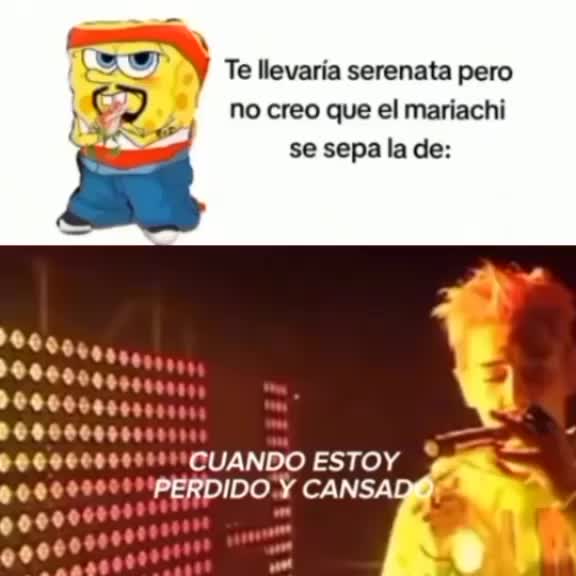 @fefita