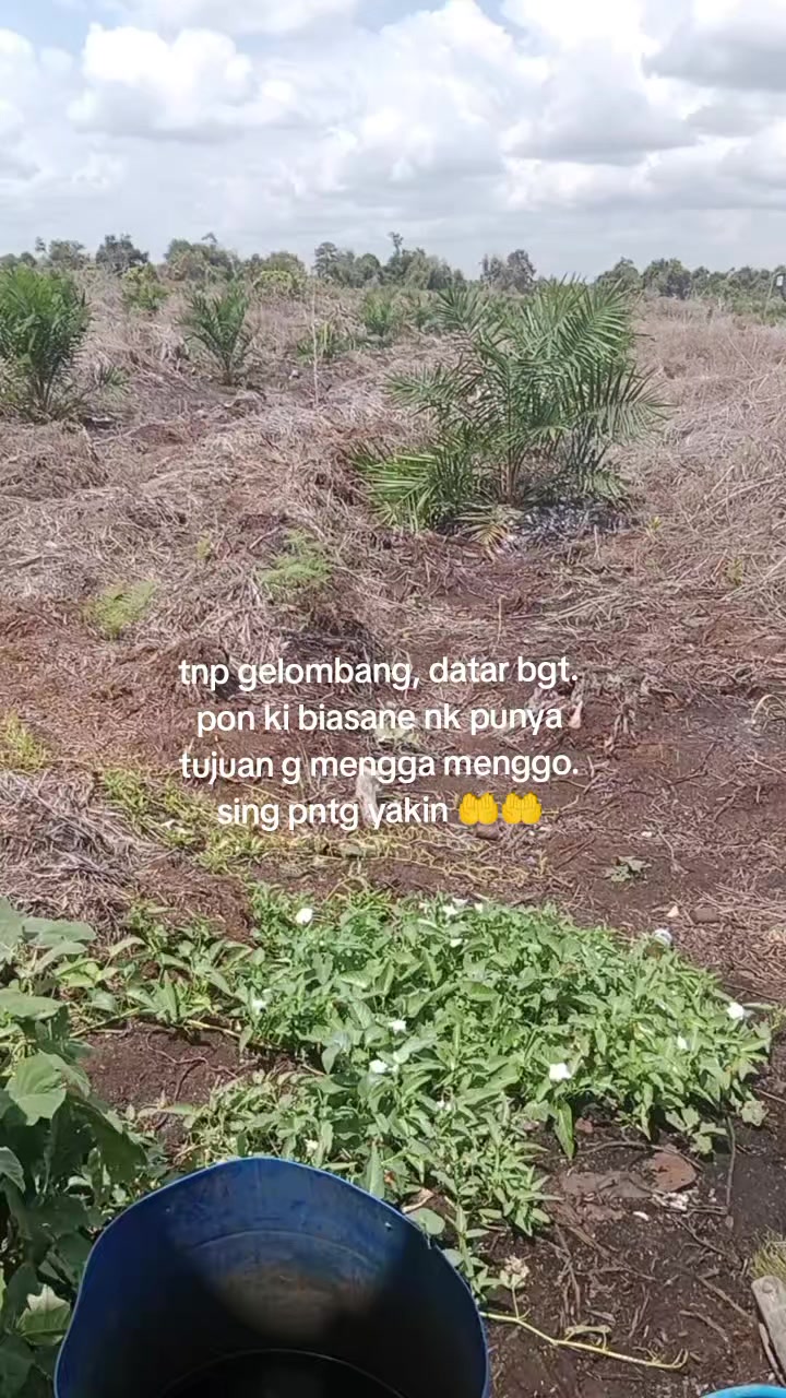 @paini347