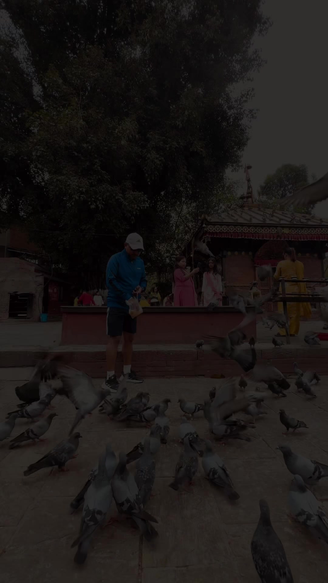 @Himal Thapa Magar