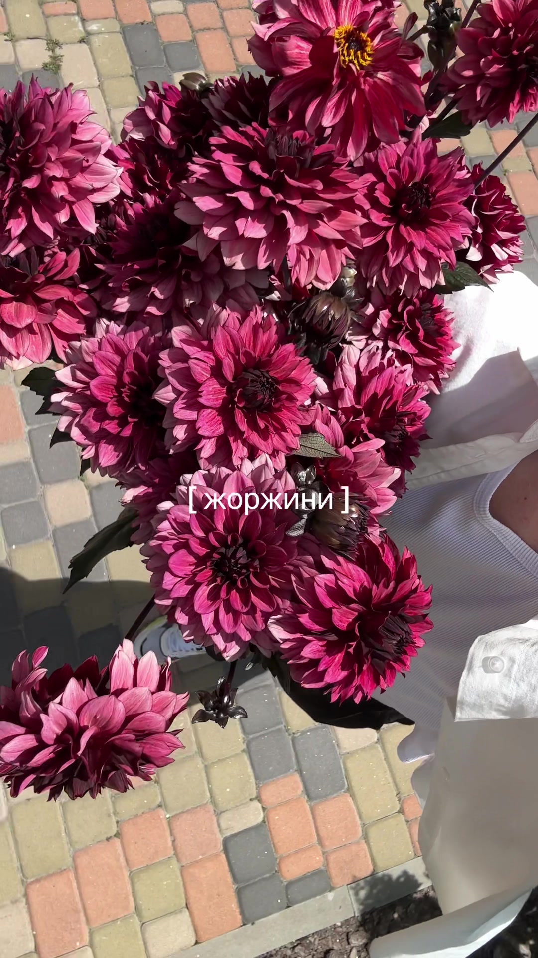 @gardenist.concept