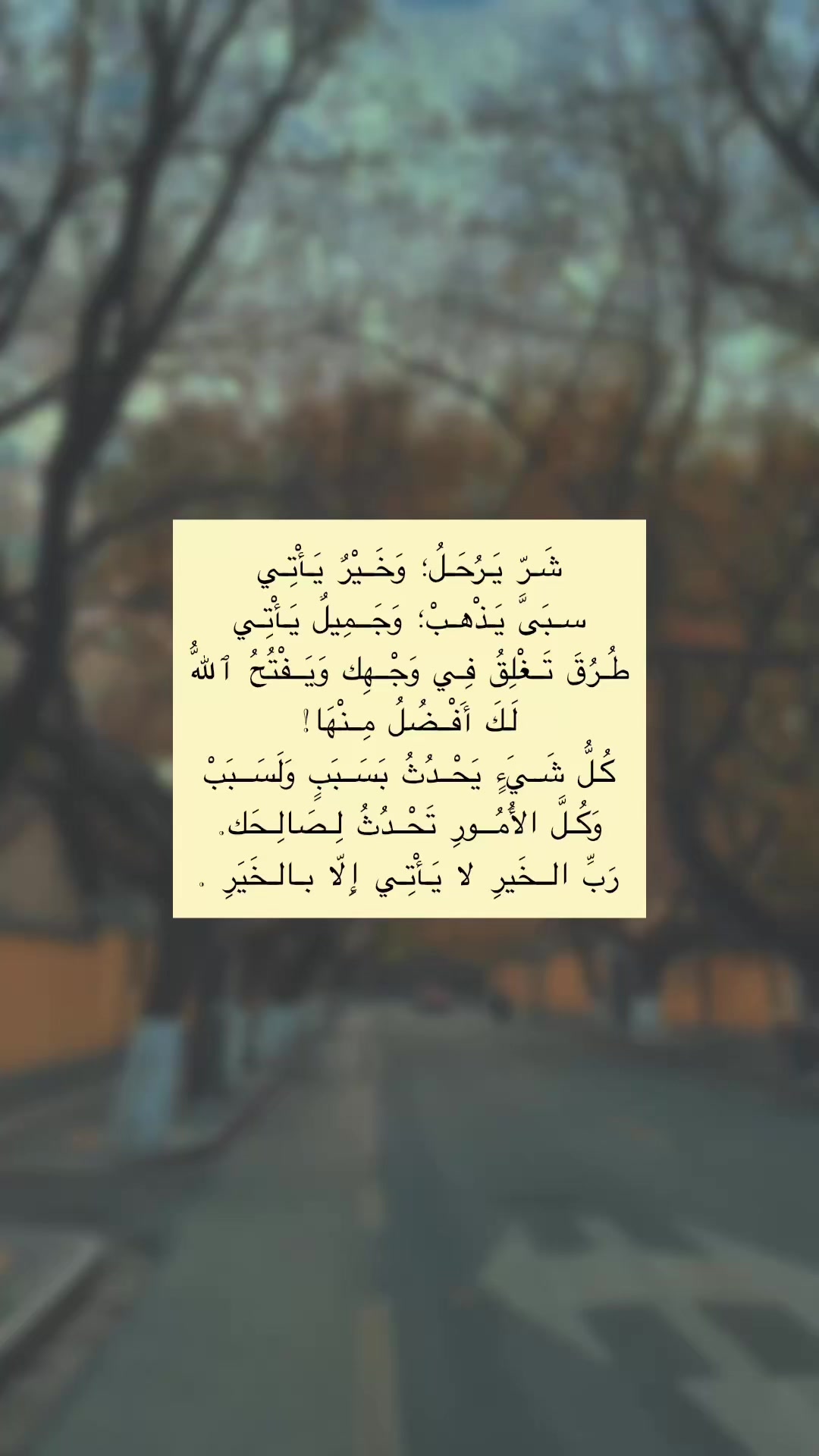 @تصاميم ….. فيديوهات