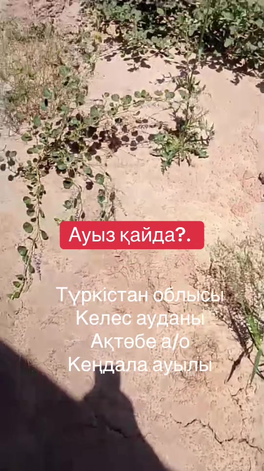 @Айбек