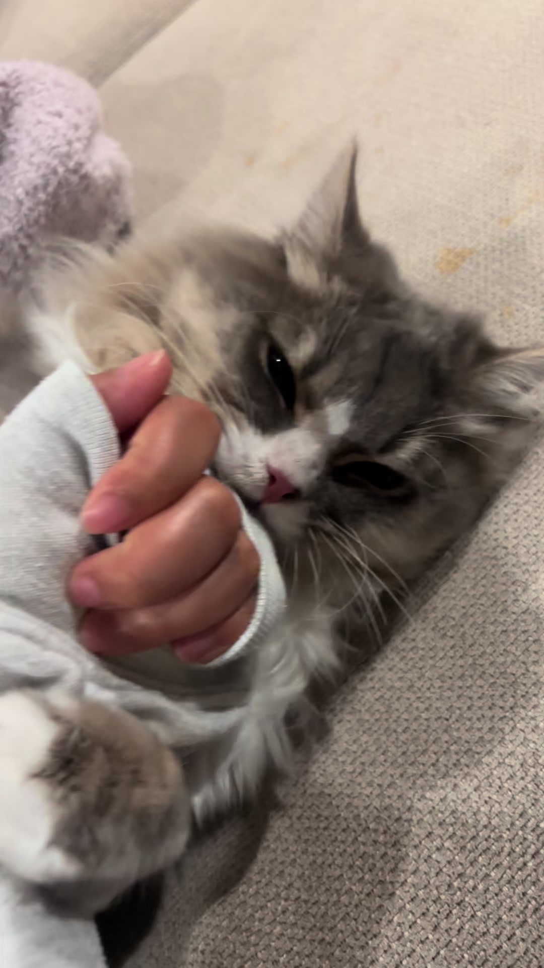@にに