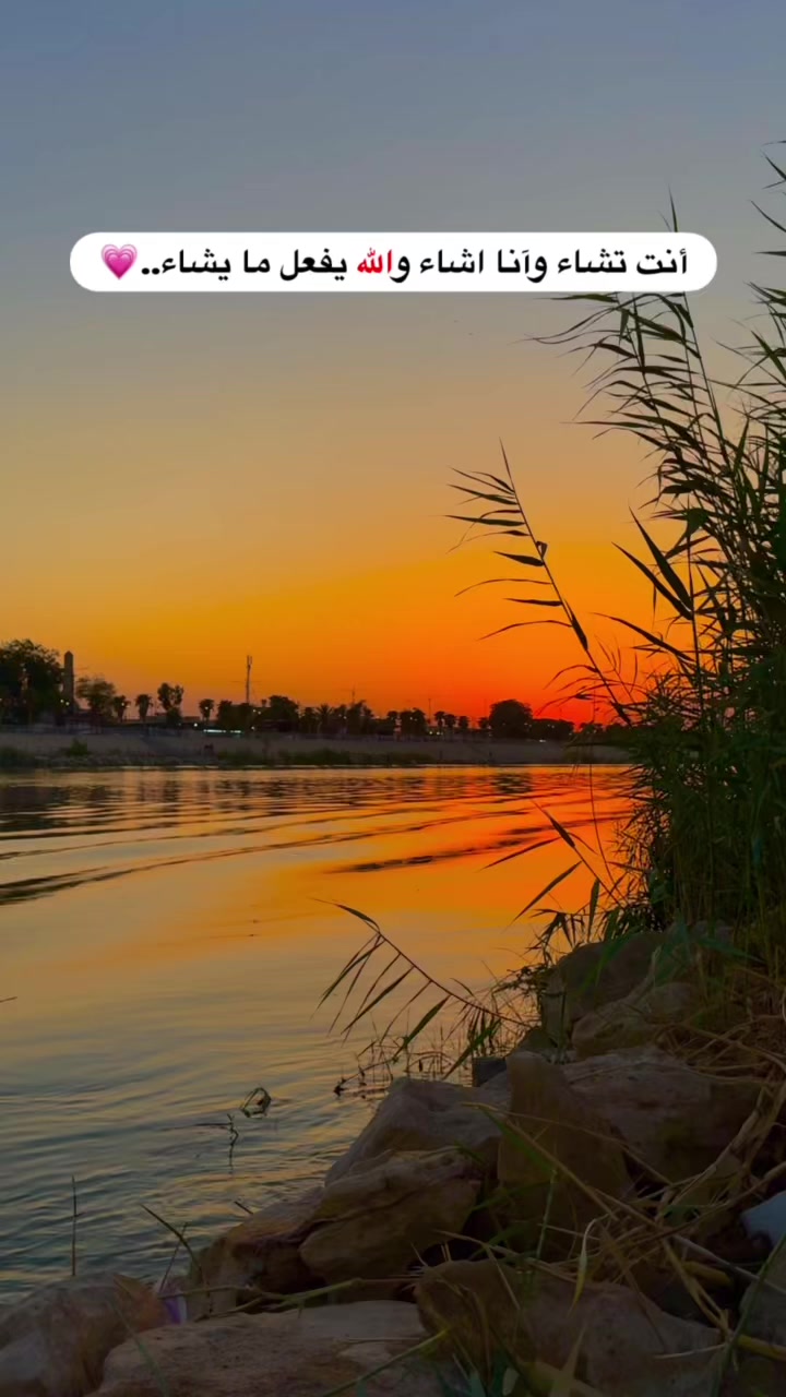 @علاوي