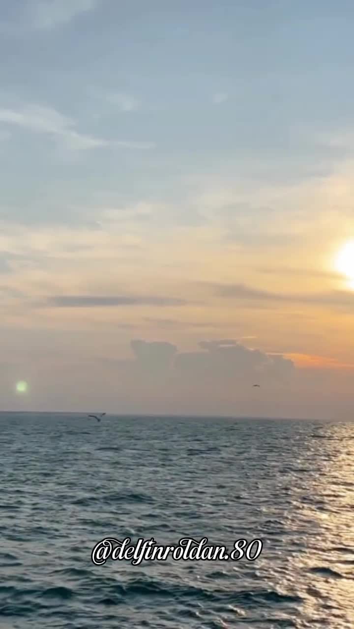 @Delfín🇪🇨