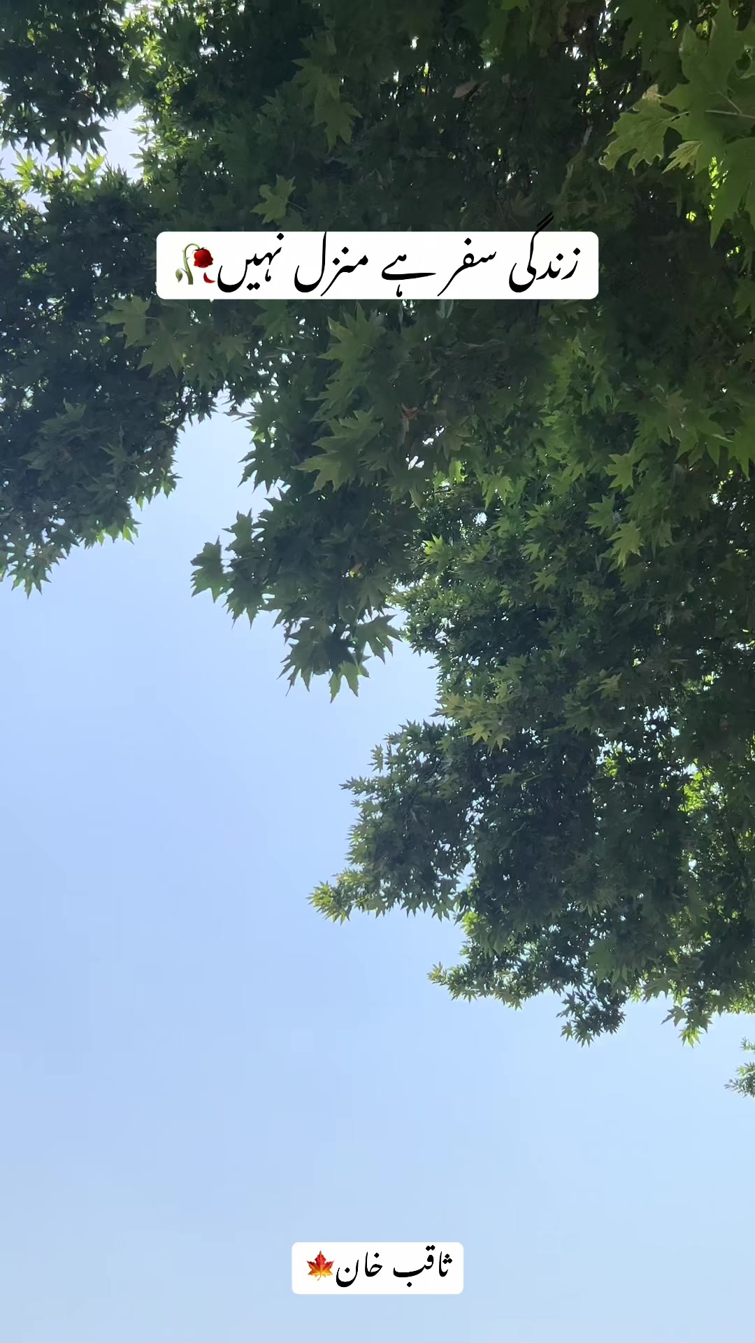 @ثاقب خان 🍂🕊️