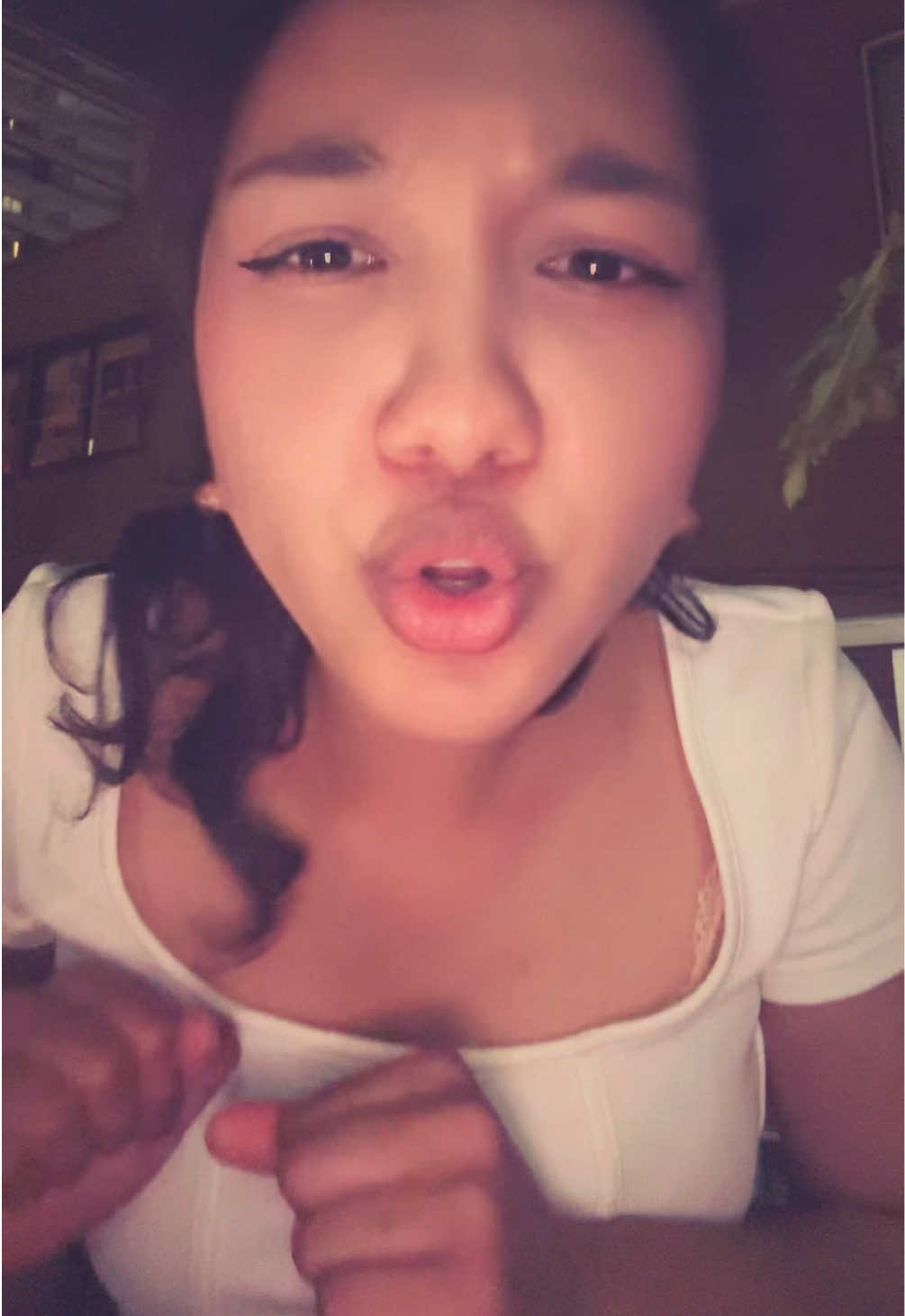 @piplypopp