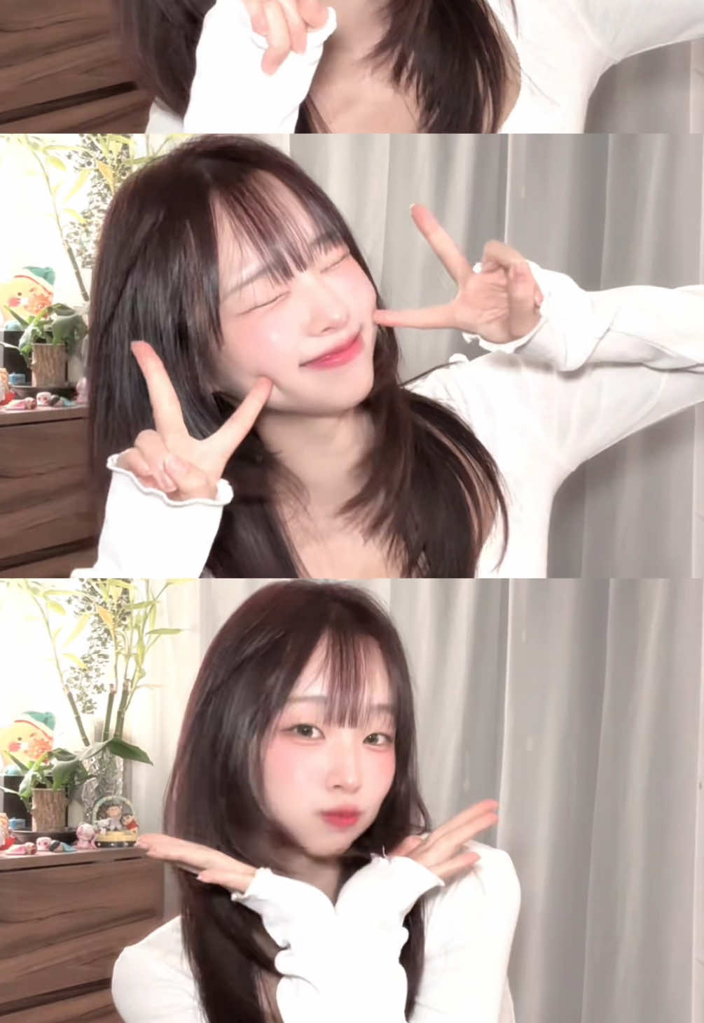 @🌹장미 jangmi🛡️