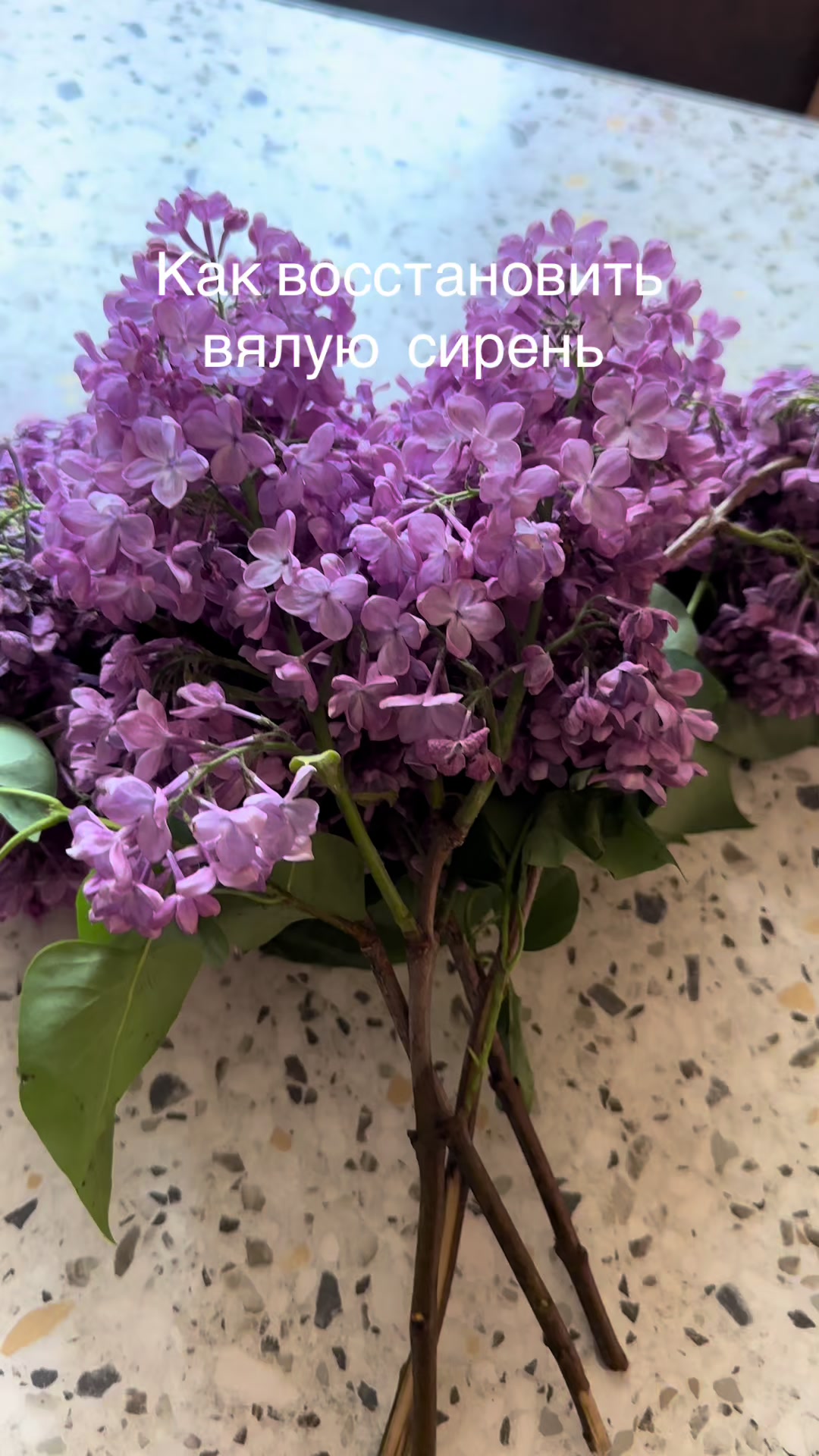 @Елена Лабуть