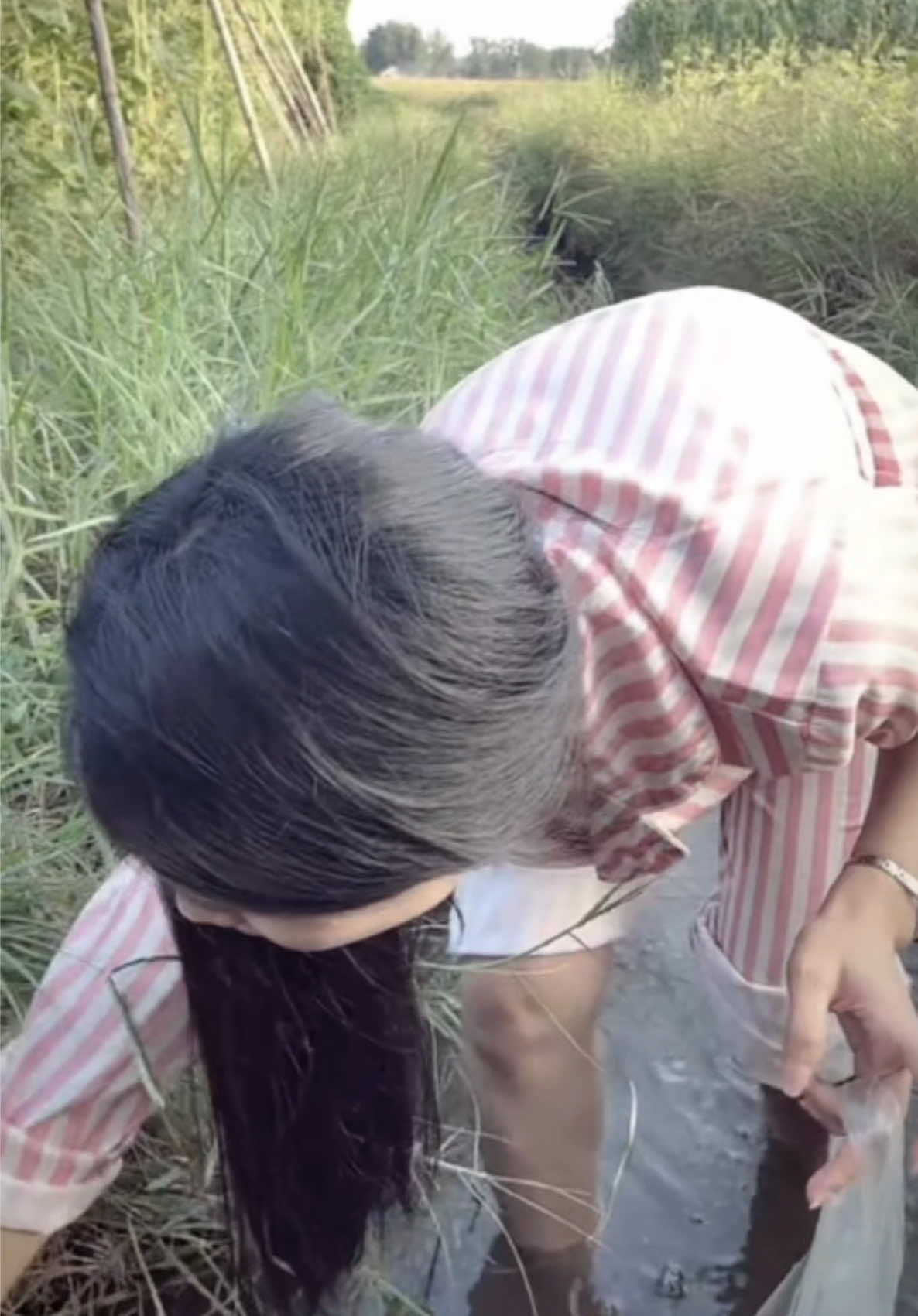 @Liễu Như Yên 🦋
