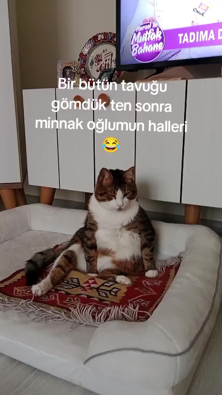 @şanslı