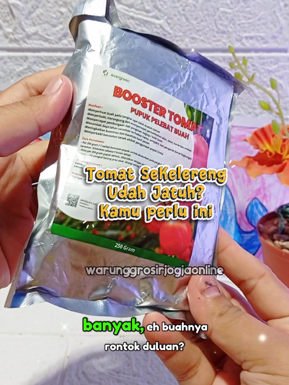 @warung grosir jogja online