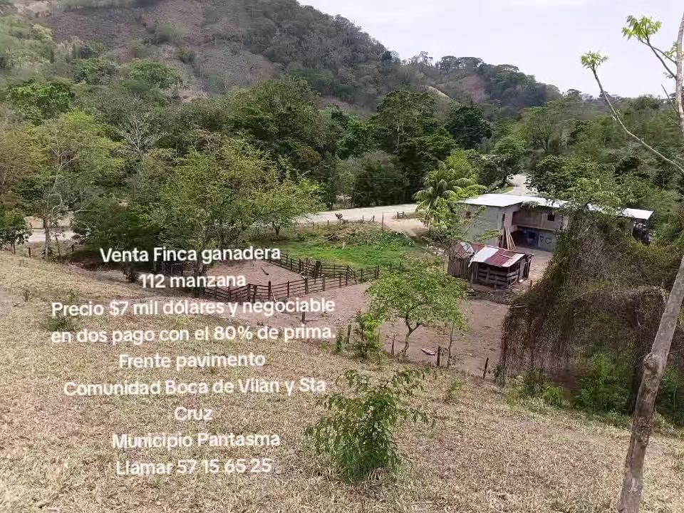 @Luis Manuel Rivera