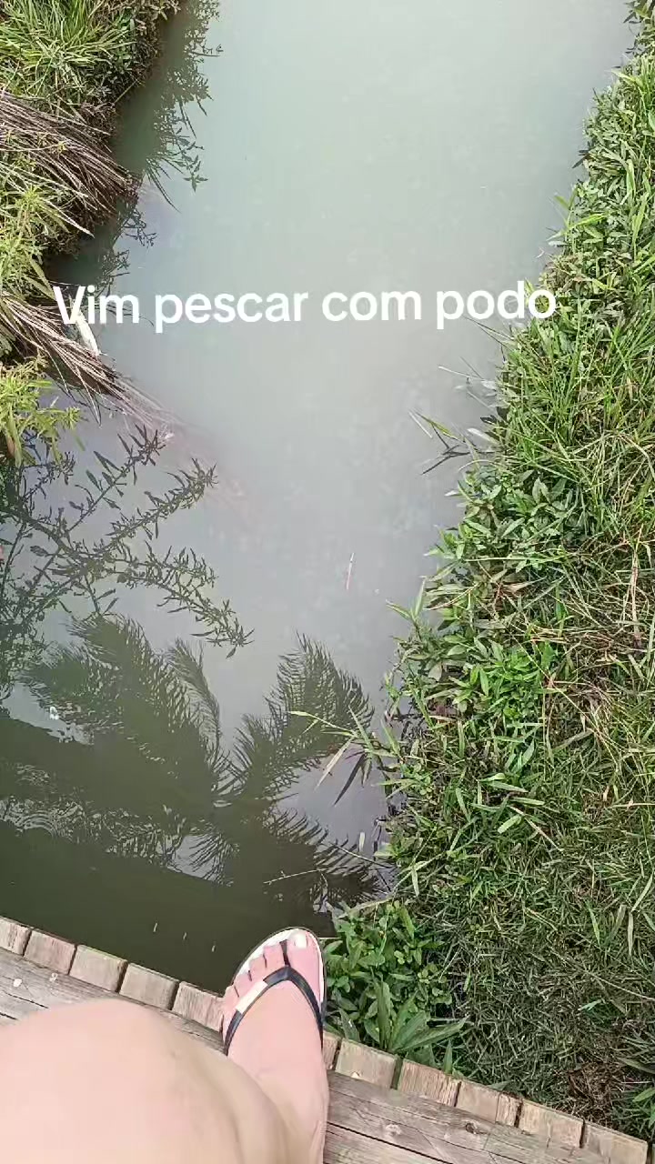 @Rainhagoianafeets