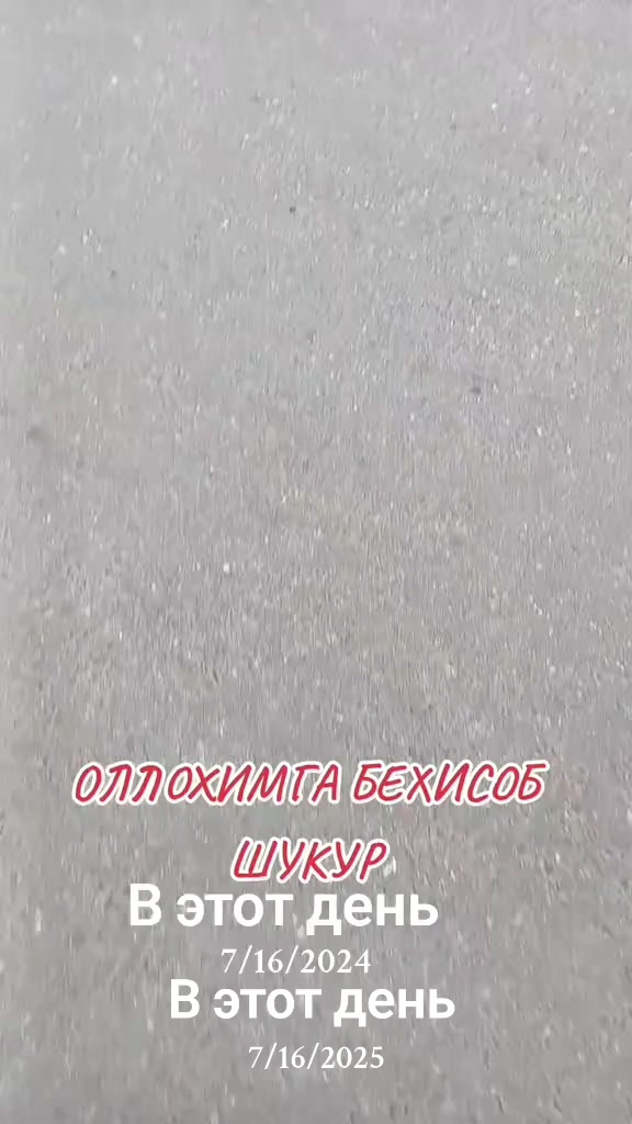 @shoira2281