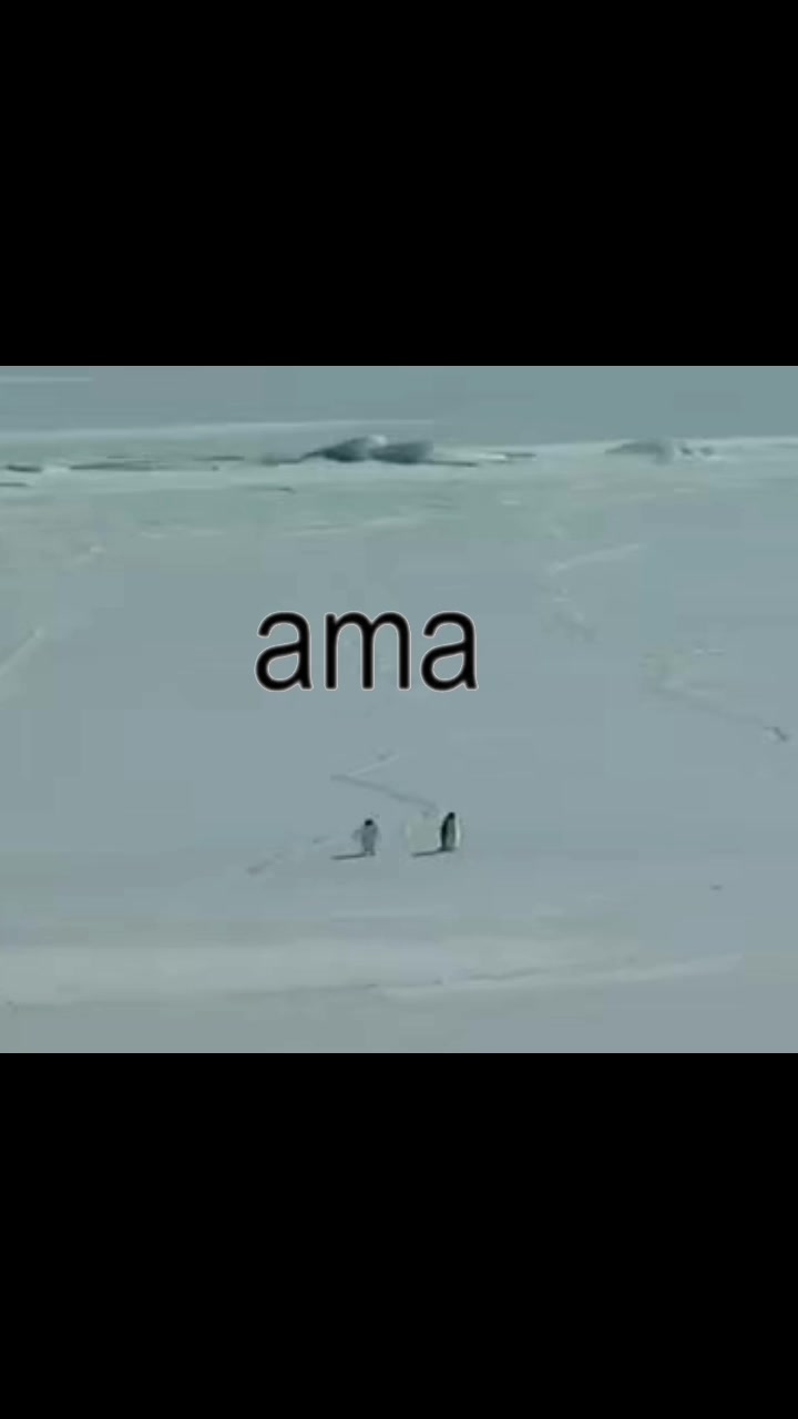 @M̶a̶r̶l̶b̶o̶r̶o̶. ⋆.˚🦢⋆