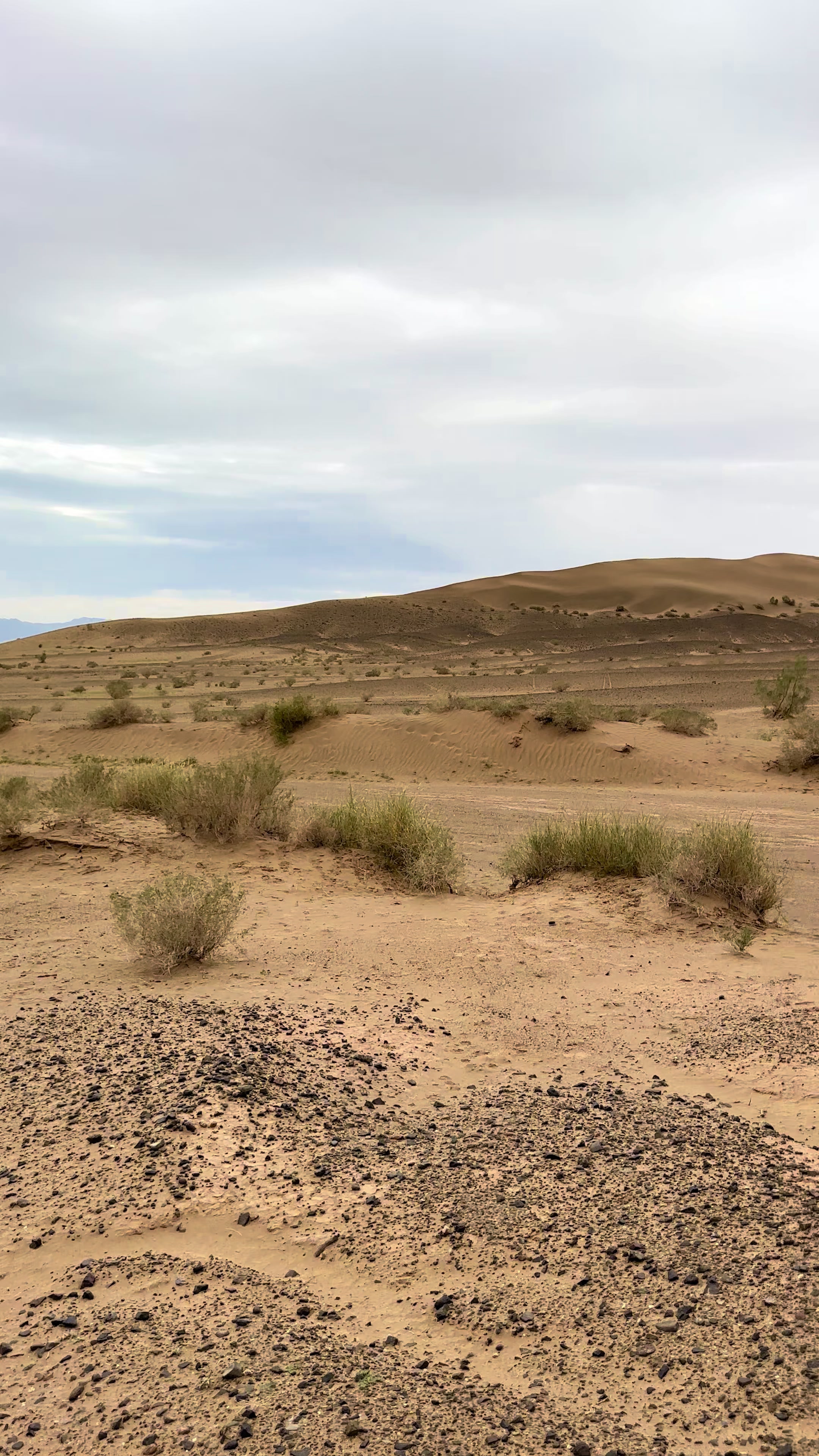 @بلوچستان عشق است 🐪🏜️🪶
