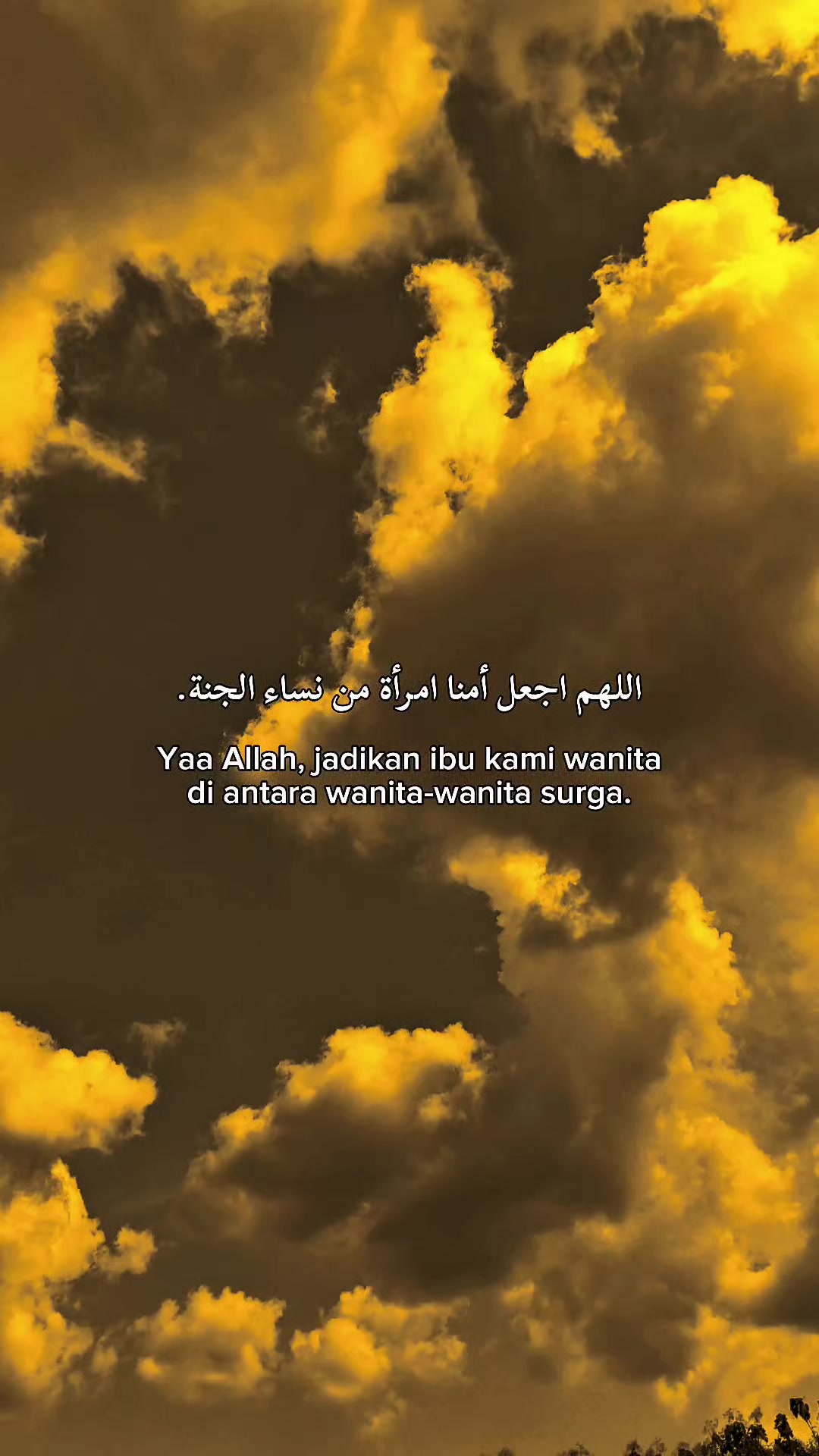 @Z A I N