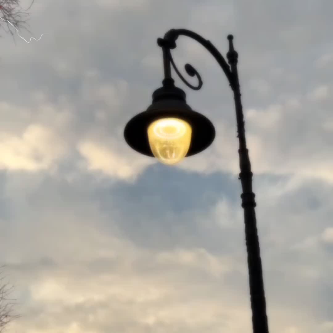 @𝘚𝘢𝘳𝘢𝘪𝘬𝘪 𝘓𝘰𝘷𝘦𝘳𝘴 🦋
