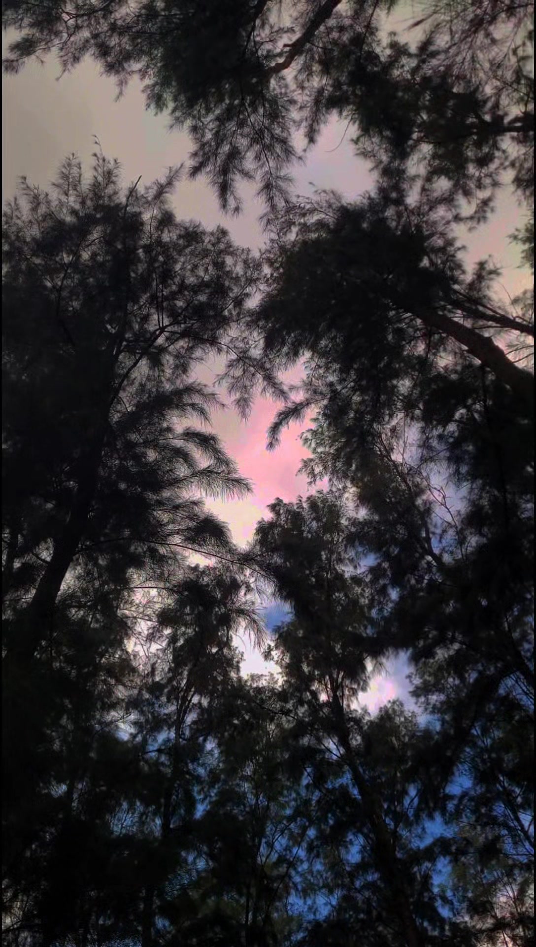 @Close to Nature. đ§đŠ