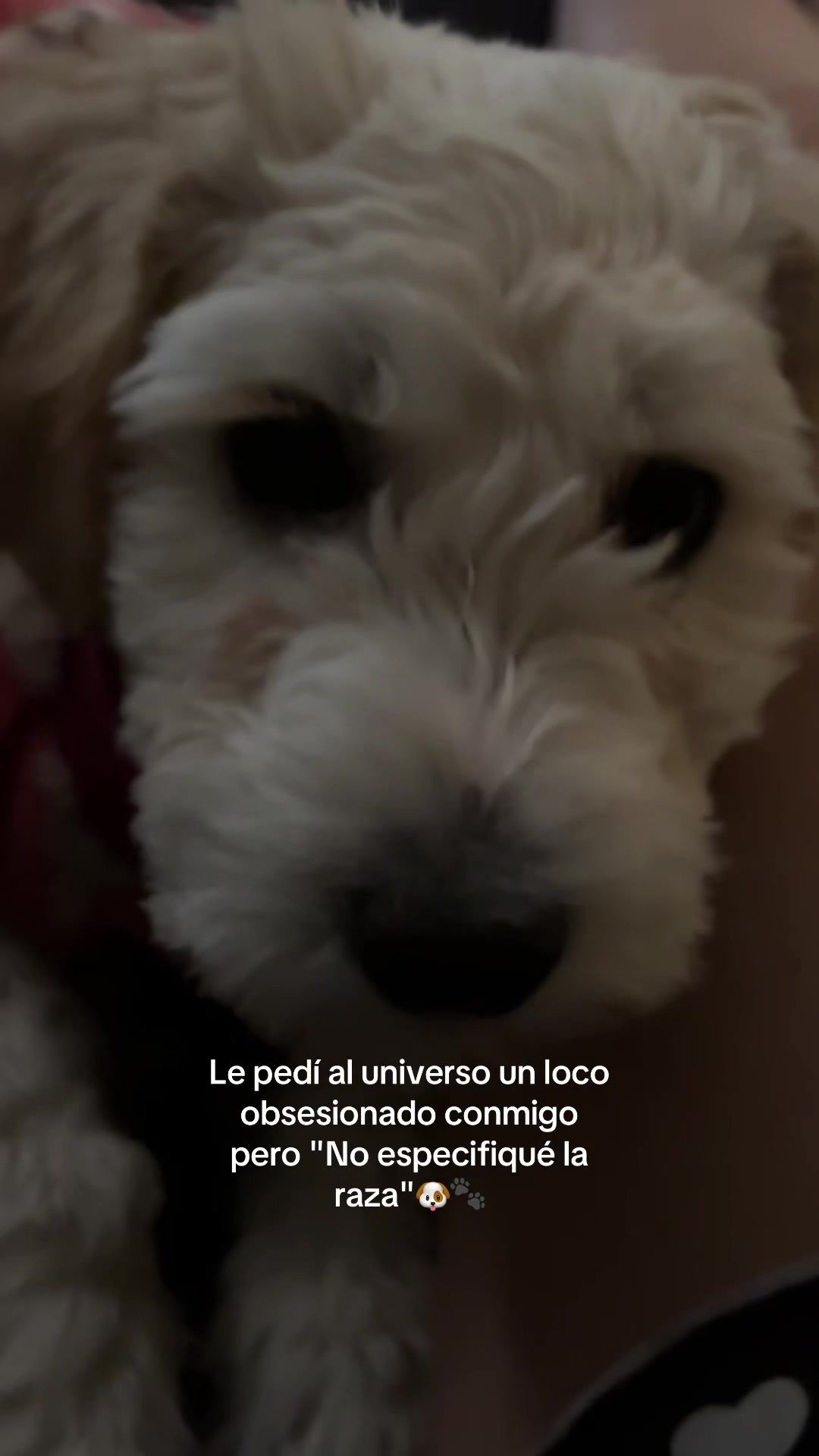 @Bren <3