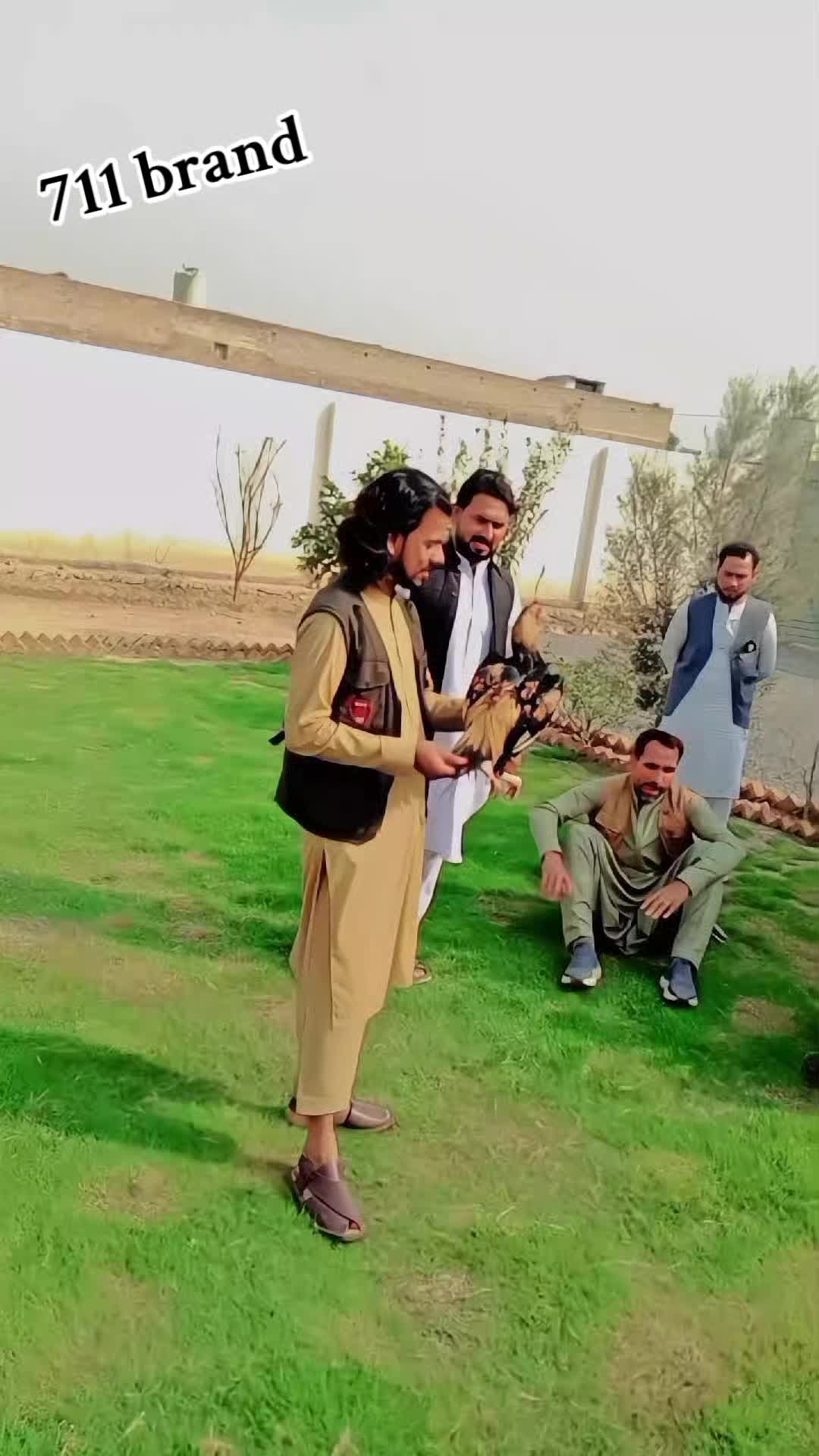 @🇵🇰 ᴳ𝐞ᵒ➐➊➊⚔️𝐁𝐫𝐚𝐧𝐝 🇵🇰