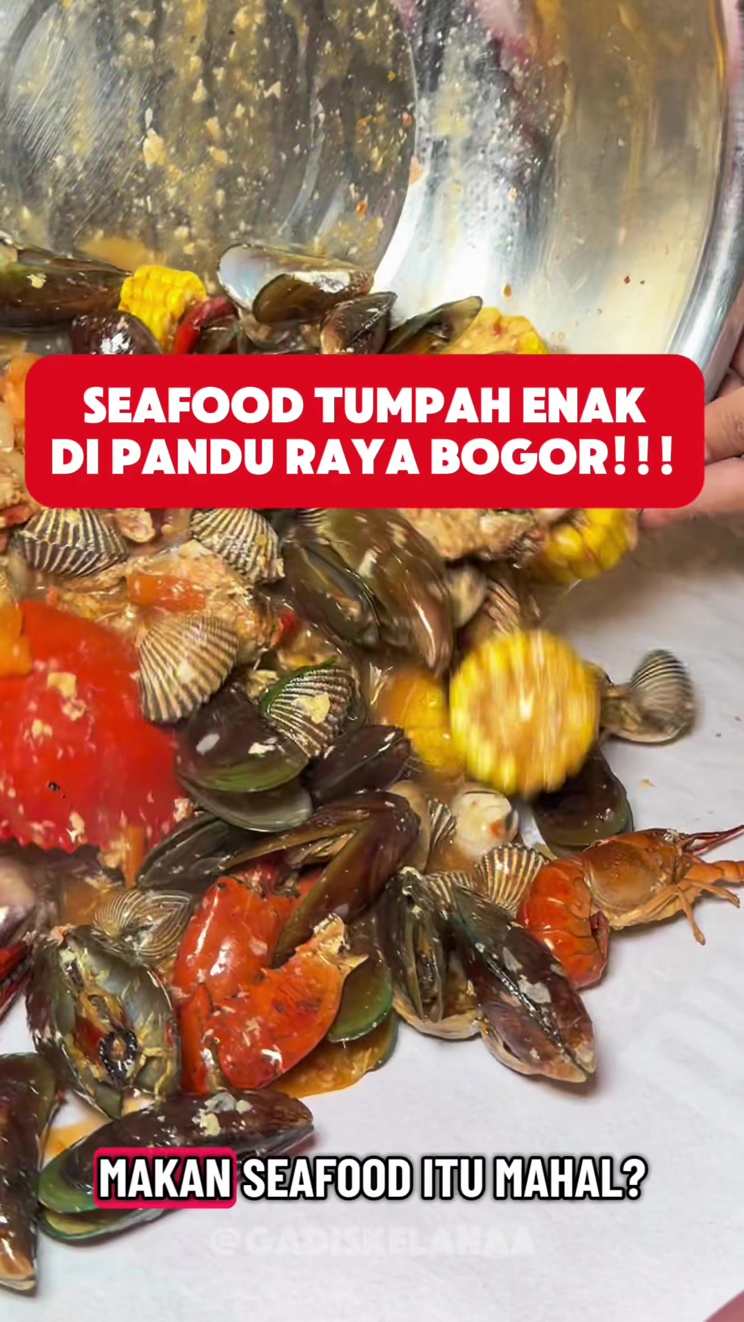 @Gadis kelana || Kelana rasa