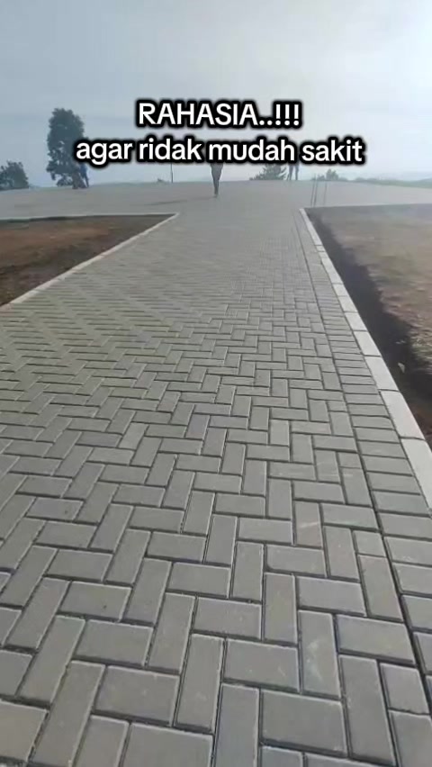 @vieagnur