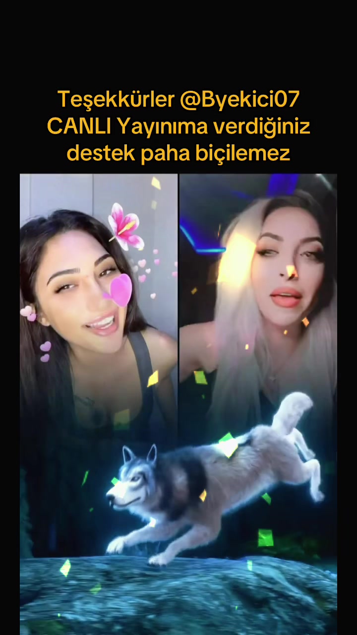 @Gaye Doğan