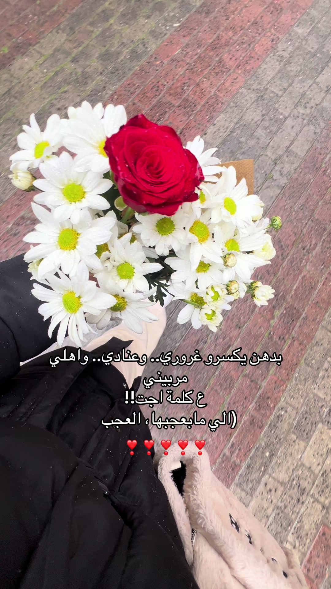 @مـــريــم❣️