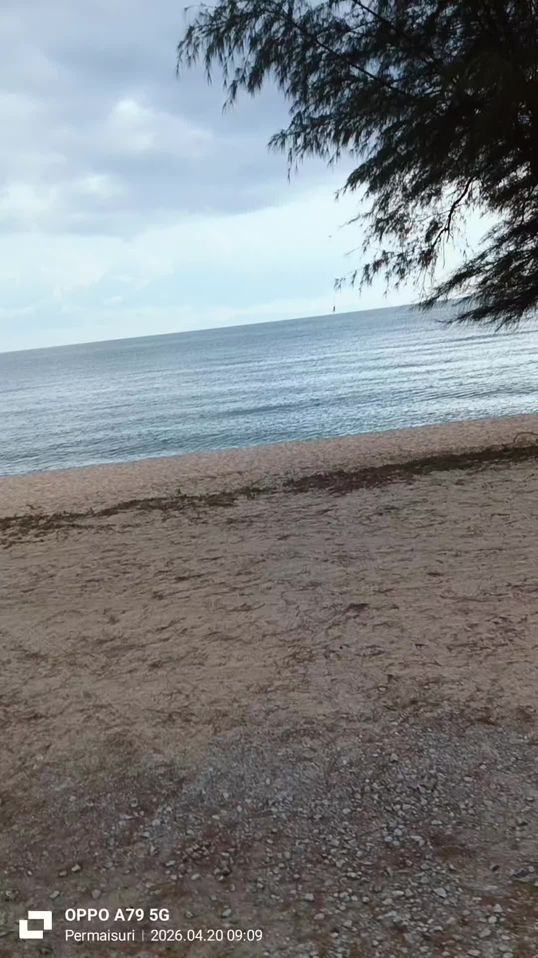 @jokibukitDFK5776