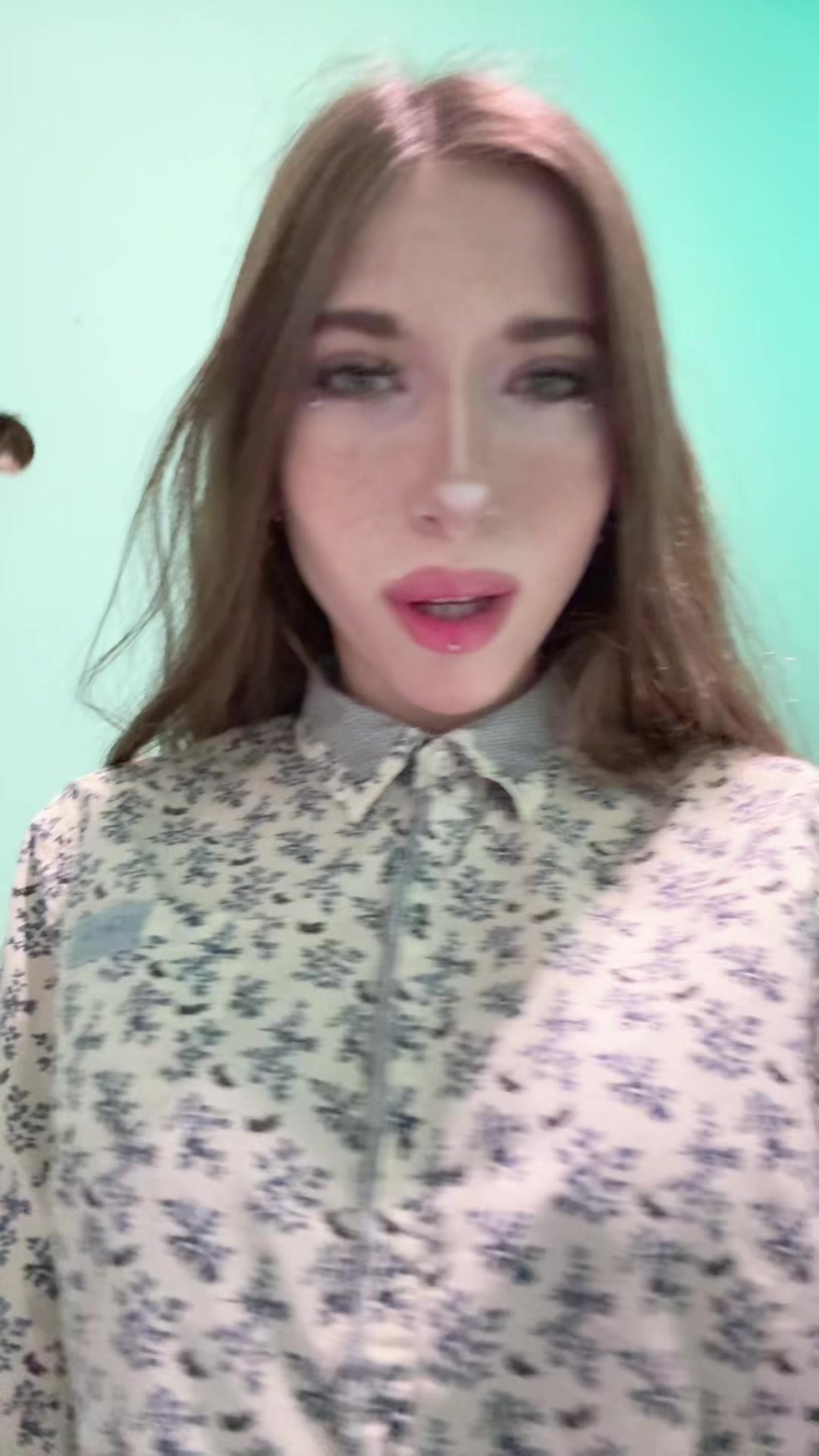 @кошка