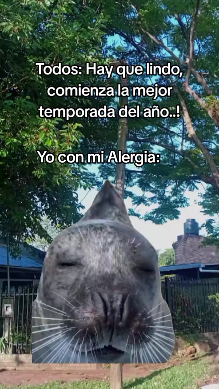 @Fer Rojas