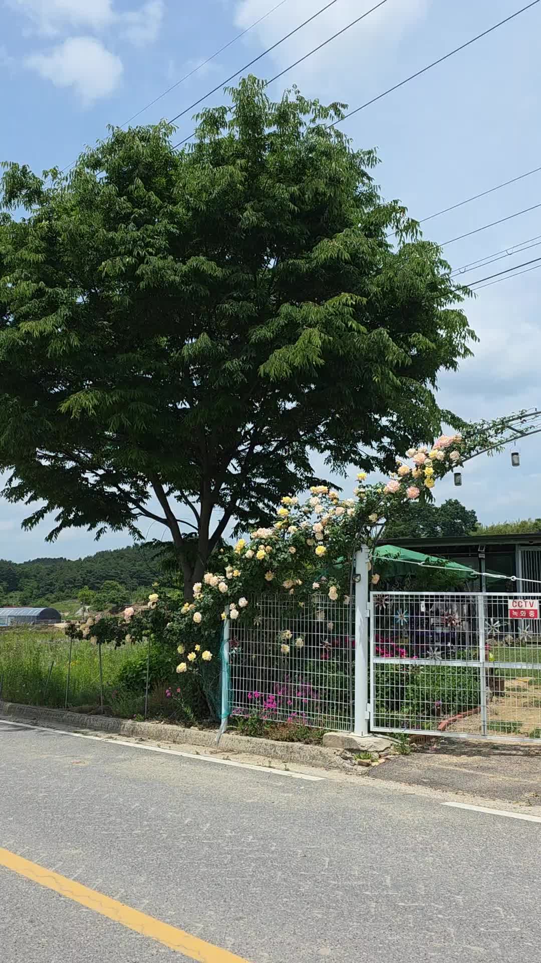 @쑥이네