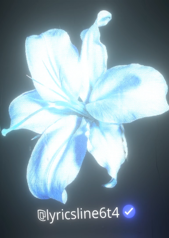 @4𝖝𝖗𝖞:𝟎𝟐