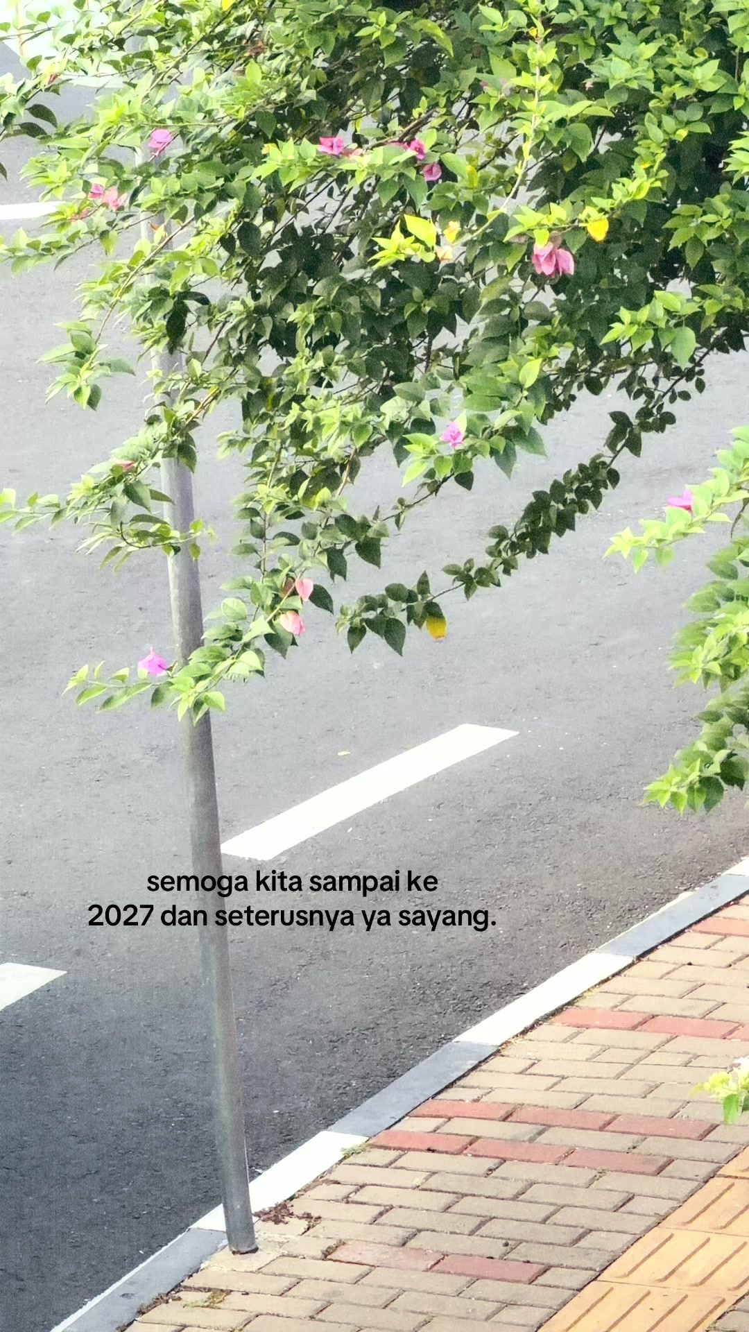 @ㅤ