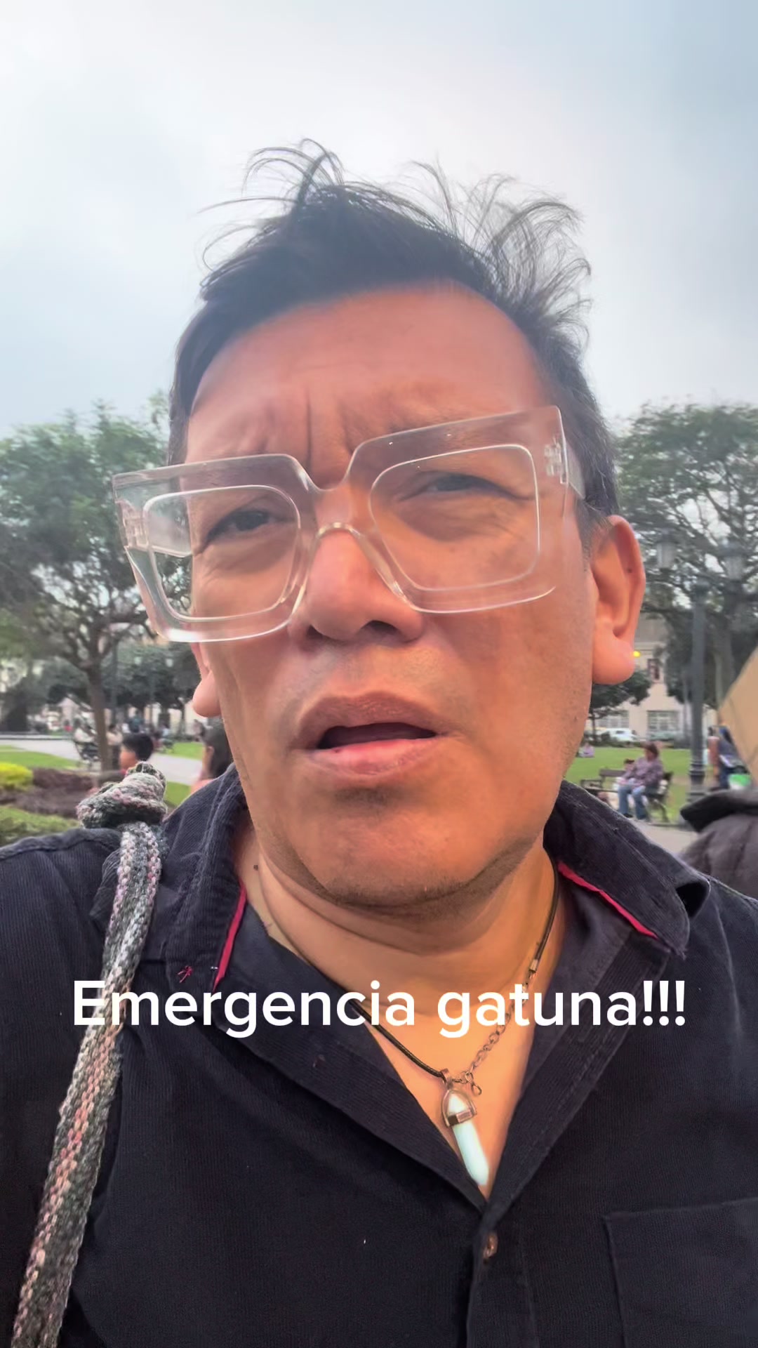 @Christian Bayro Delgado