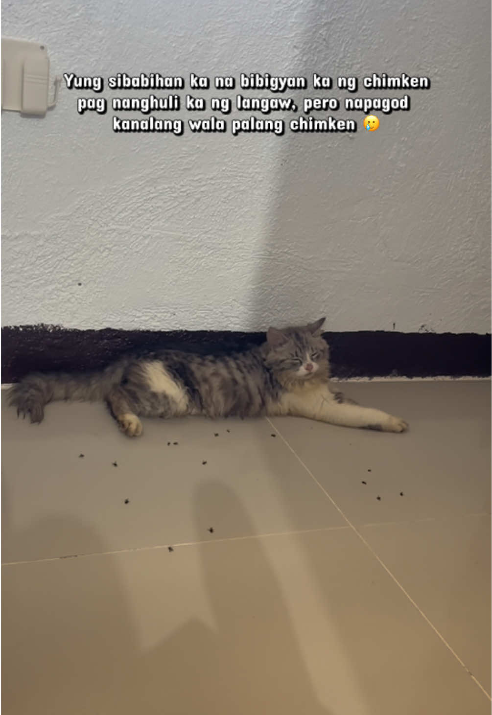 @𝒞𝒽𝑒𝓁𝓈𝑒𝒶 ᥫ᭡