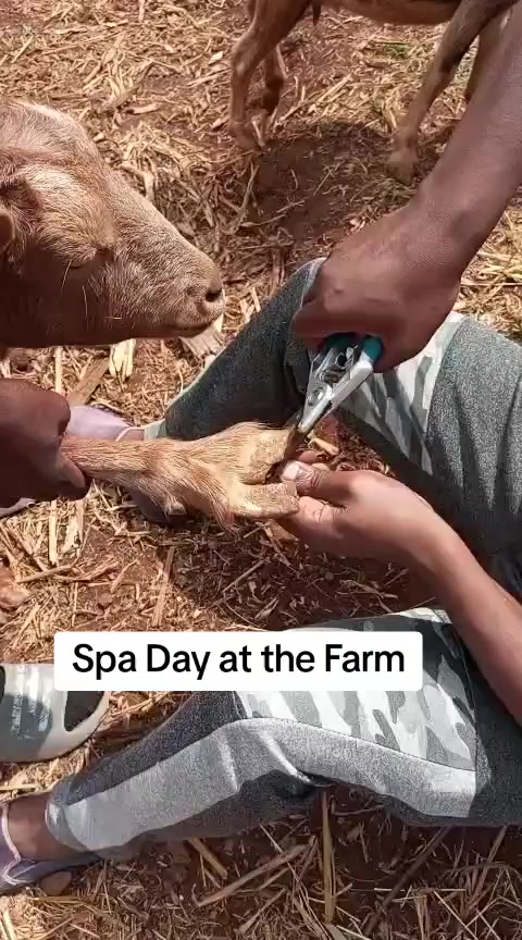 @Sam Kariuki