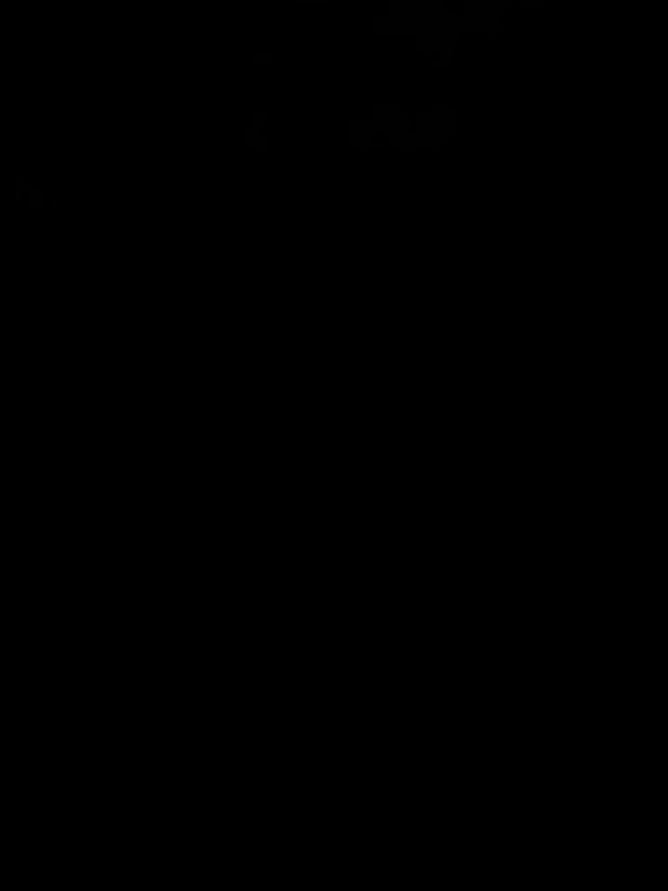 @Elegancia Fotográfica