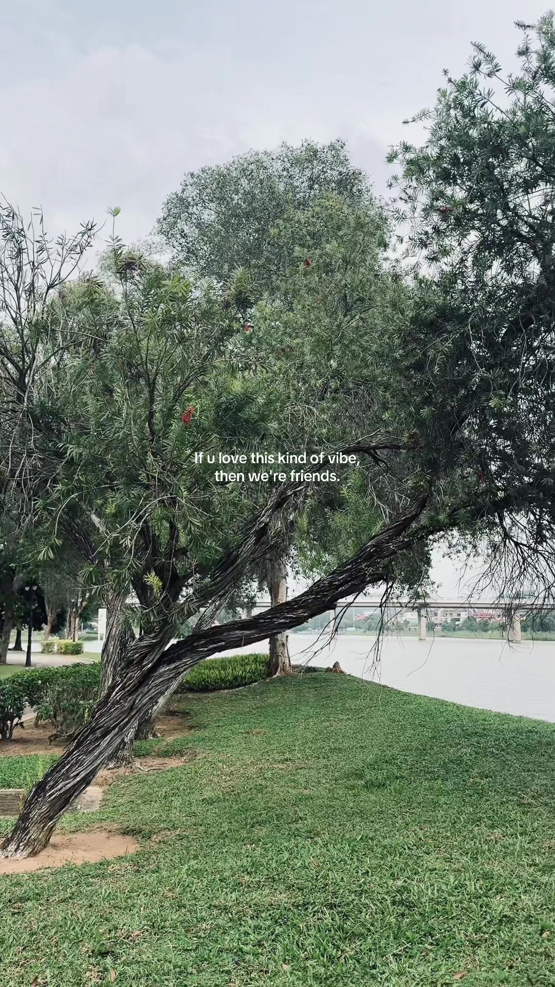 @lunenowwaaa