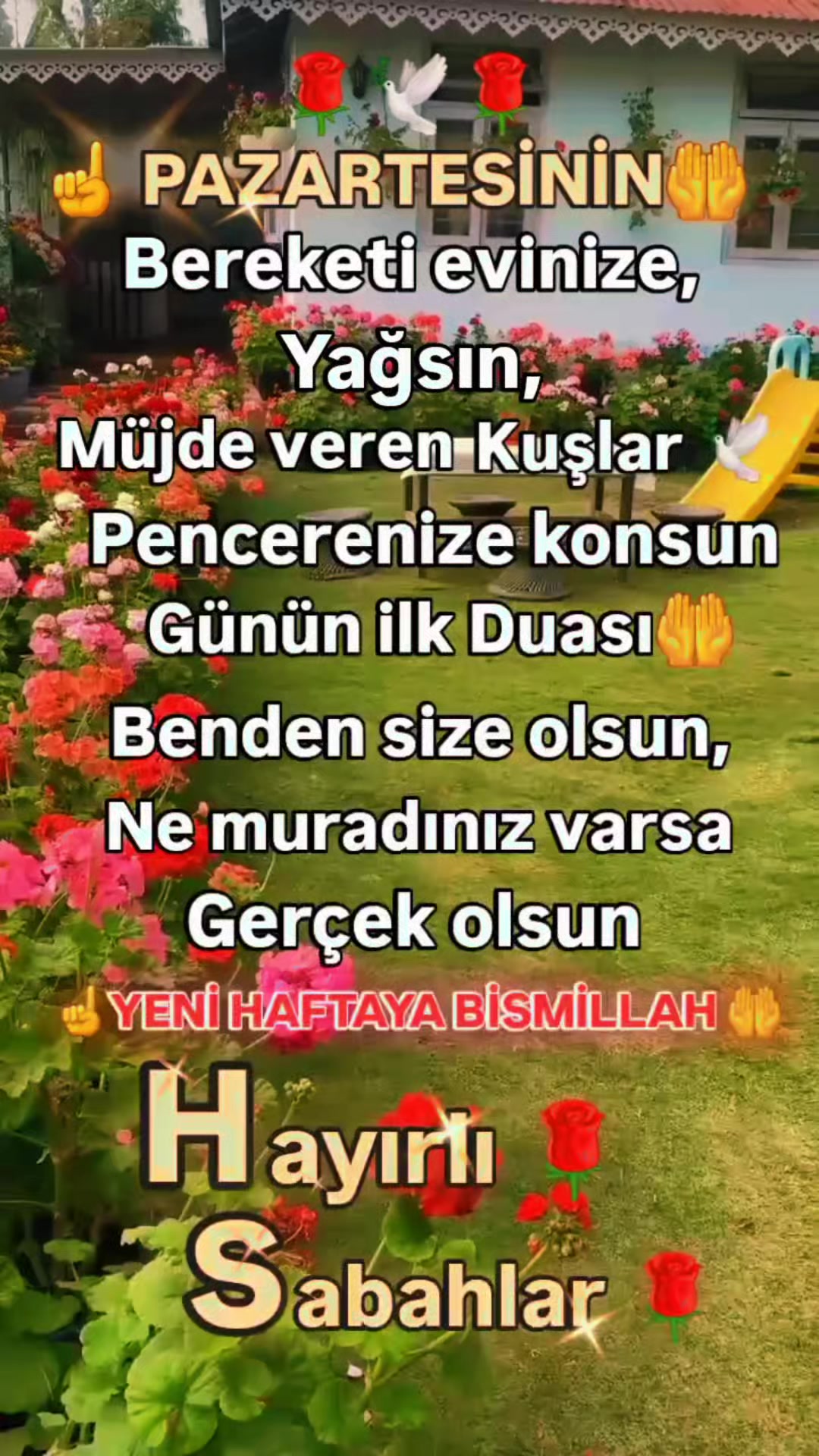 @Gurbet