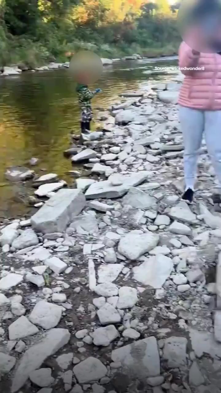 @theviralbulletin